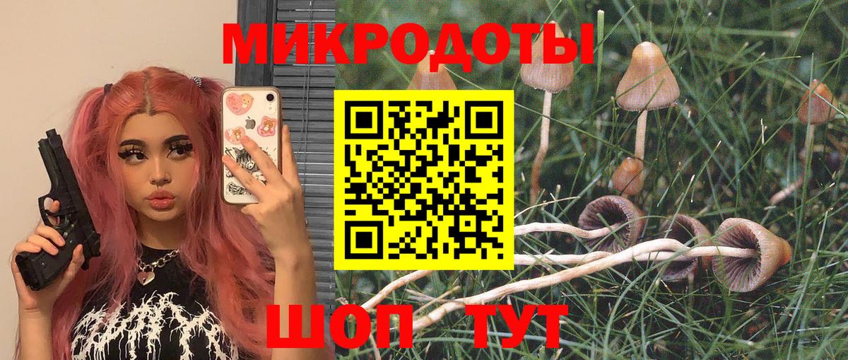 Протвино  Псилоцибиновые грибы Psilocybe  как найти наркотики  Вход с VPN 